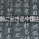 第31回 日本語の中の中国語その14――目に一丁なし(1)